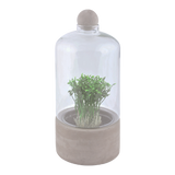 Bottle Terrarium Concrete Base