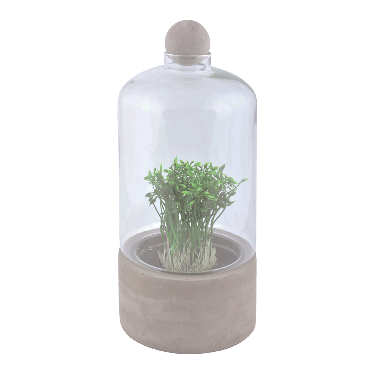 Bottle Terrarium Concrete Base