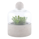 Bottle Terrarium Concrete Base