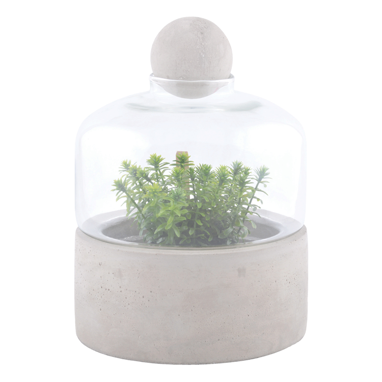 Bottle Terrarium Concrete Base