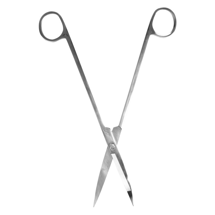 Terrarium Scissors